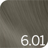 6.01 blond foncé naturel cendré