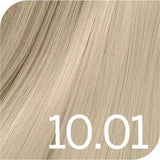 10.01 blond très très clair naturel cendré