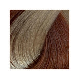 MARRON PAPRIKA