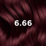 6.66 blond foncé rouge intense