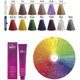 11.1 blond platine cendré