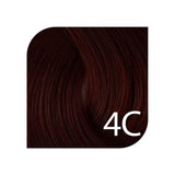 4C café